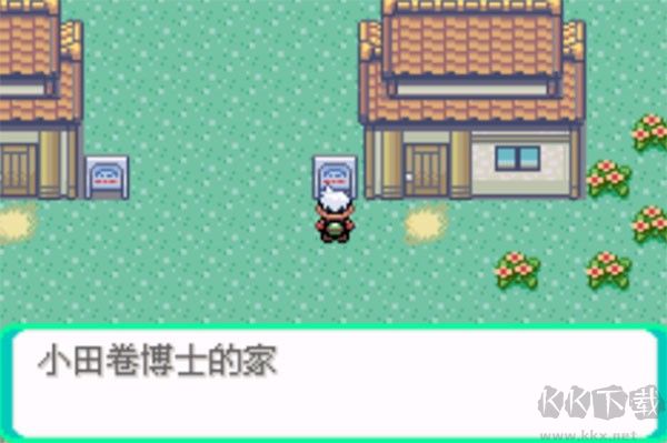 口袋妖怪傳說綠寶