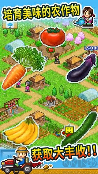 開羅晴空農(nóng)場物語