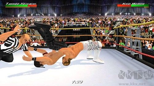 摔跤革命3d