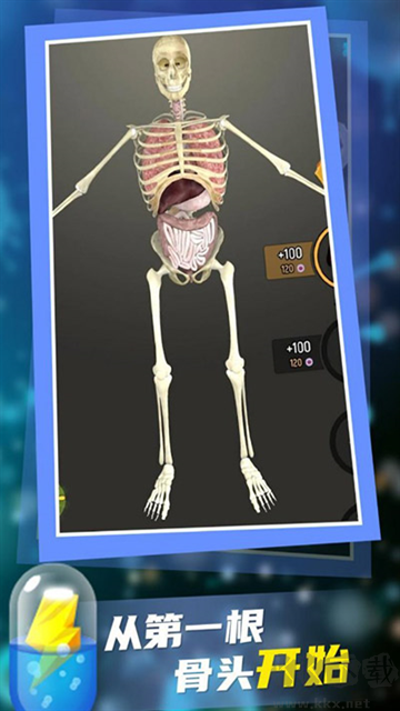 放置人類無限功能版