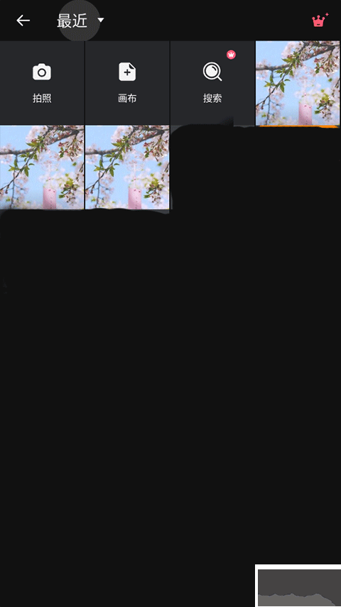 專業(yè)照片編輯器（Polish）