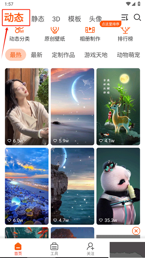 壁紙精靈最新版