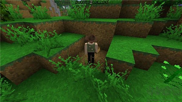 生存戰(zhàn)爭(zhēng)2免費(fèi)正版