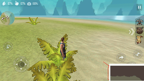 夫妻荒島生存手游