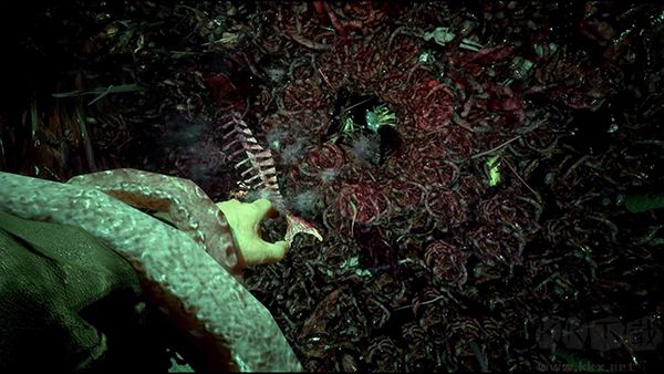 克蘇魯?shù)暮魡究蛻舳?>
                                <span id=