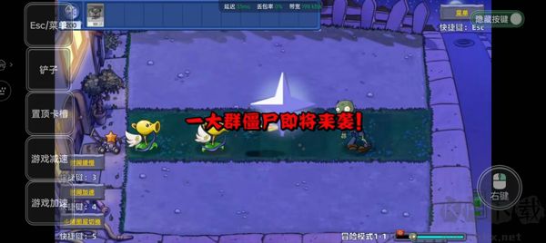 植物大戰(zhàn)僵尸