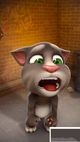 會(huì)說話的湯姆貓2025版