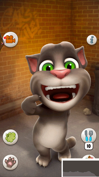 會(huì)說話的湯姆貓2025版