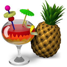 HandBrake轉(zhuǎn)換器 v1.9.2