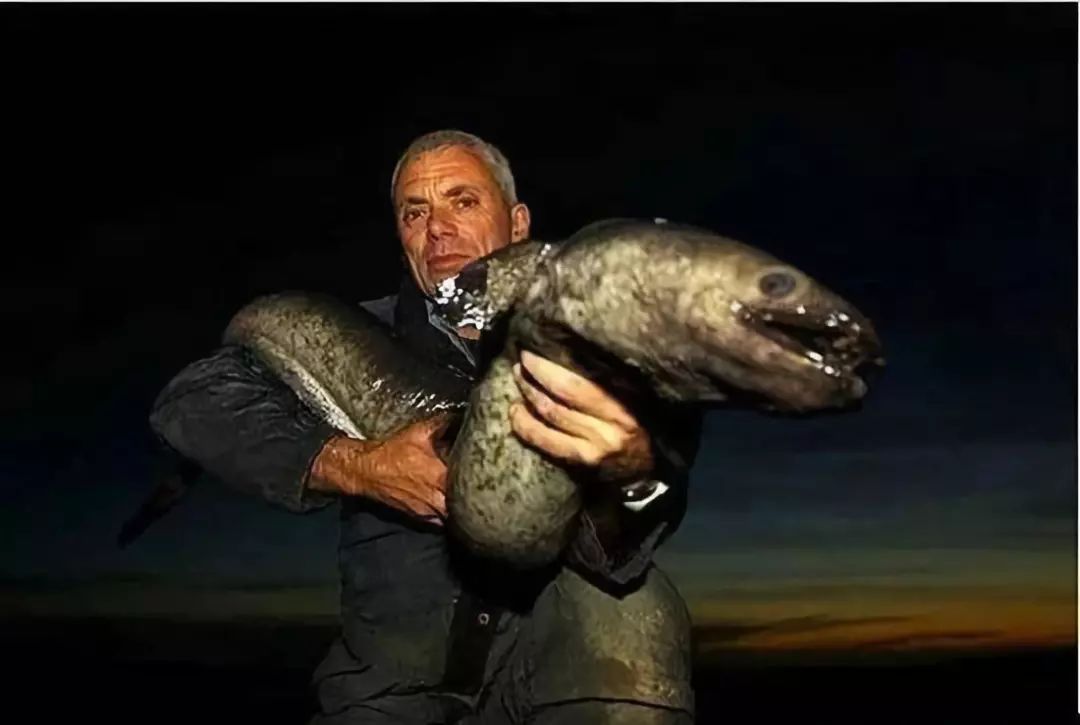 2025釣魚游戲排行-2025好玩的釣魚游戲-2025真實的釣魚游戲