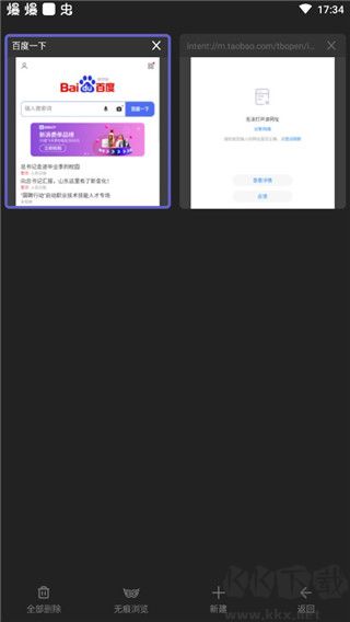 樂感瀏覽器標準版