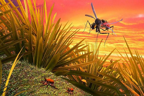 蚊子模擬器手機(jī)版