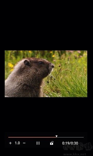 金沐文件助手官網(wǎng)版