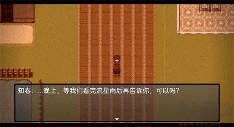 流星降臨的小鎮(zhèn)來自過去的幽靈游戲