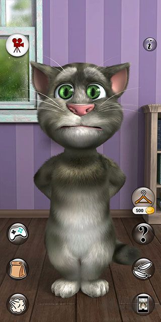 會(huì)說話的湯姆貓2