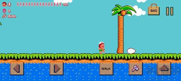 冒險(xiǎn)島（Adventure Of Island）