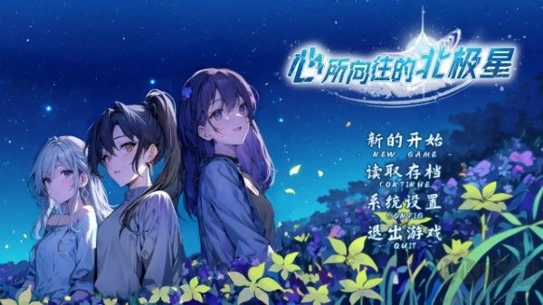 心所向往的北極星