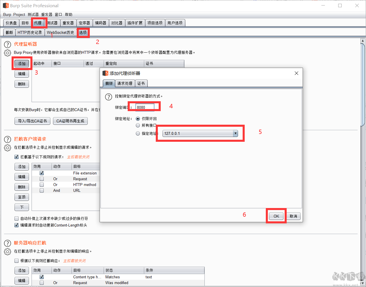 burp suite professional