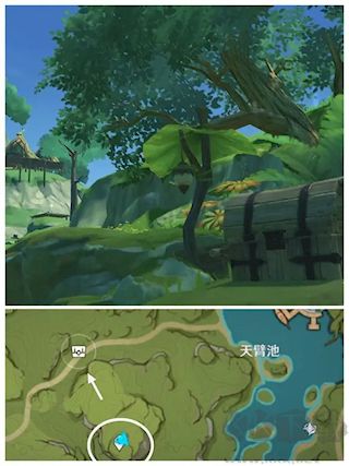 原神須彌容易漏掉的寶箱 