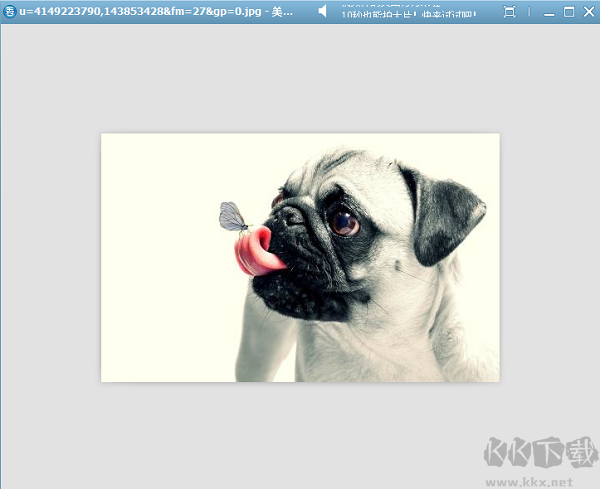 美圖看看電腦版