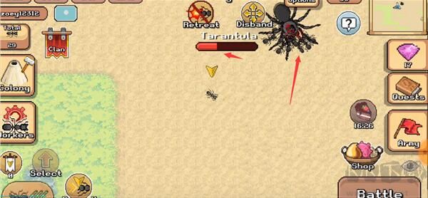 口袋螞蟻(PocketAnts)