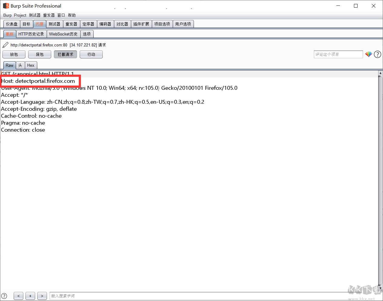 burp suite professional 2024 