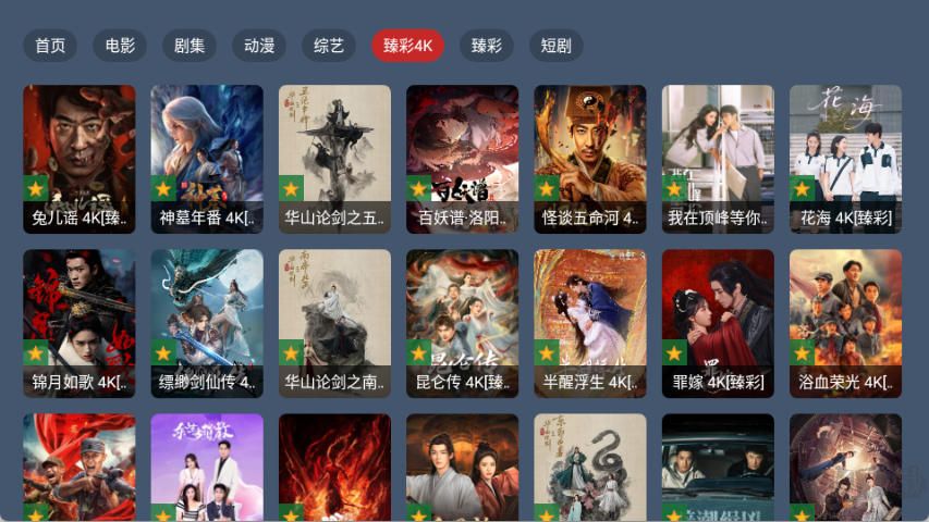 藍(lán)光4K影視