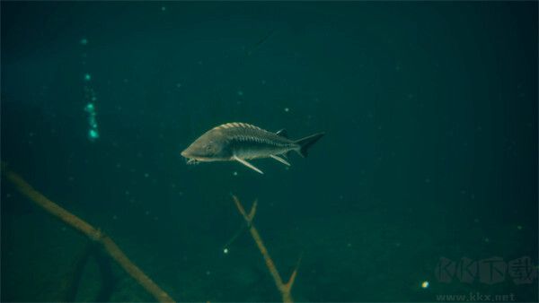 終極釣魚模擬器2