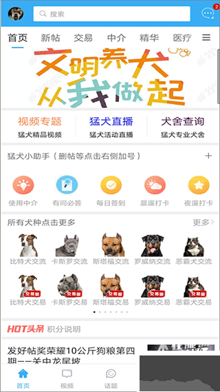 猛犬俱樂部