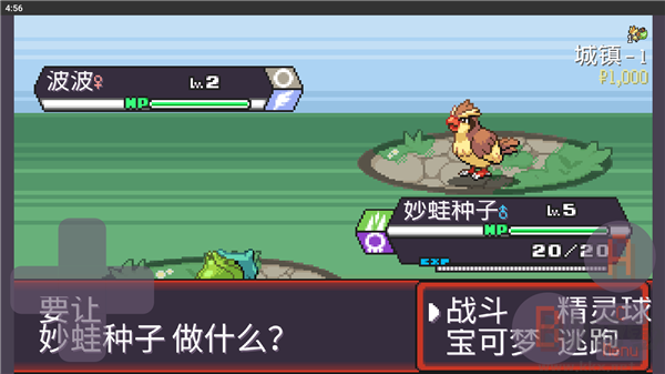 寶可夢(mèng)肉鴿