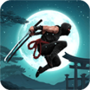 忍者戰(zhàn)士2 v1.100最新版