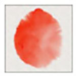 expresii(水墨畫軟件) v2022.05