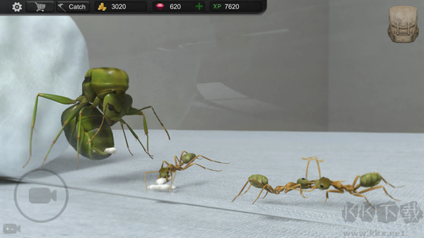 螞蟻模擬大亨(Ant Sim Tycoon)