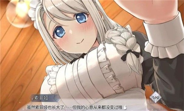 我與索菲婭的秘密