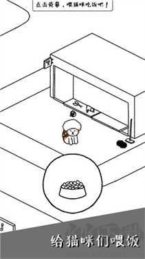 貓咪真的很可愛