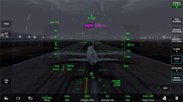 真實飛行模擬器