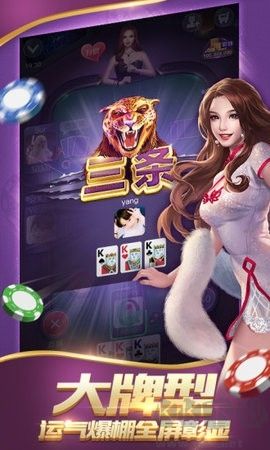 威趣棋牌防閃退版