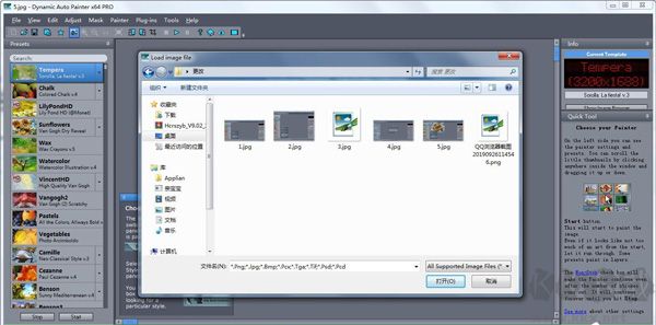 Dynamic Auto Painte Pro(照片轉(zhuǎn)油畫工具)