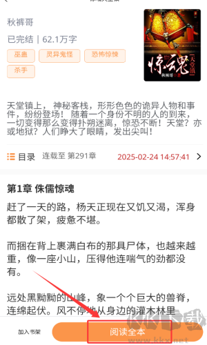 獨(dú)白小說(shuō)