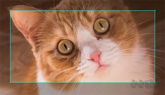 錄屏終結(jié)者