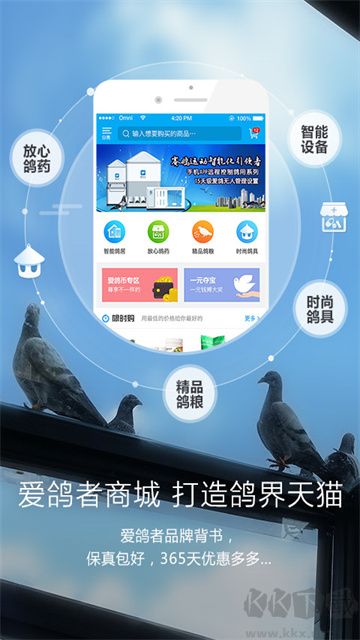 愛(ài)鴿者最新版