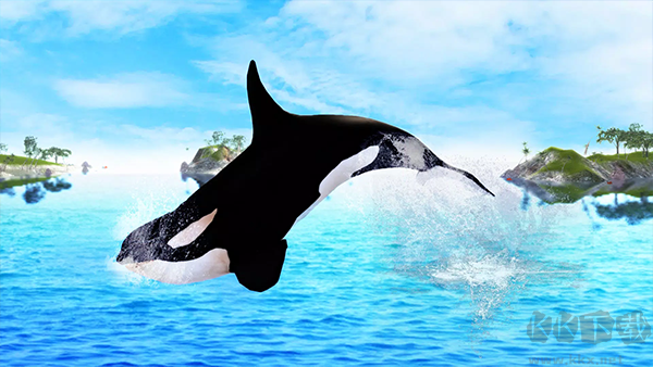 虎鯨模擬器(The Killer Whale)
