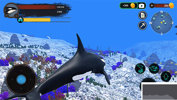 虎鯨模擬器(The Killer Whale)