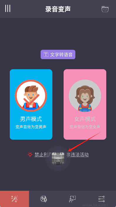 專業(yè)變聲器