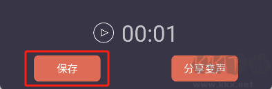 專業(yè)變聲器