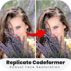 Replicate Codeformer Advices v1.9手機版