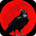 烏鴉之霜手機版 v1.2.18