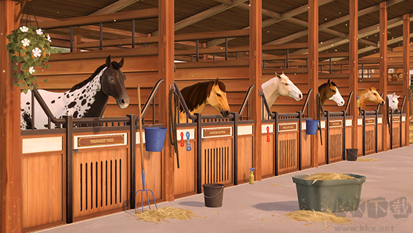 賽馬手游(Horse Racing)