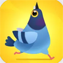 瘋狂的鴿子 v22最新版