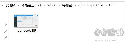 完美GIF視頻錄制專家